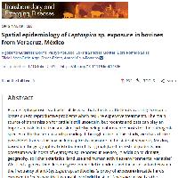 Spatial epidemiology of Leptospira sp. exposure in bovines from Veracruz, México