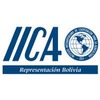 Representación del IICA en Bolivia