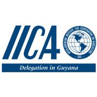 Representación del IICA en Guyana