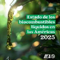 Estado de los biocombustibles líquidos en las Américas 2025