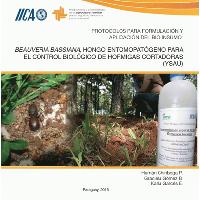 Protocolos para formulación y aplicación del bio-insumo Beauveria bassiana, hongo entomopatógeno para el control biológico de hormigas cortadoras (ysaú)