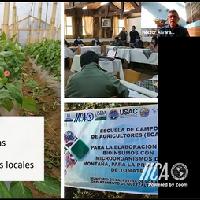 Socialización PMI Frijol-maíz, Región Occidente / IICA-CRIA