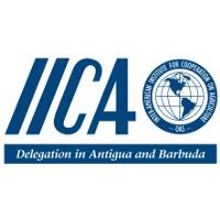 Representación del IICA en Antigua y Barbuda