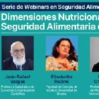 Dimensiones nutricionales y de salud de la seguridad alimentaria en las Américas