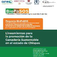 Lineamientos para la promoción de la ganadería sustentable en Chiapas
