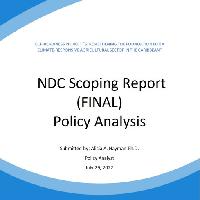 NDC Scoping Report : Policy Analysis