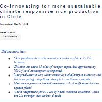 Co-Innovating for more sustainable, climate responsive rice production in Chile
