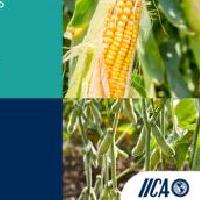 El papel de los cereales y las semillas oleaginosas en los sistemas alimentarios sostenibles: la perspectiva del hemisferio occidental hacia la Cumbre de sistemas alimentarios de las Naciones Unidas de 2021