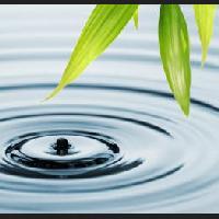 Innovación y gestión del agua para el desarrollo sostenible en la agricultura