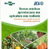 Buenas prácticas agrícolas para una agricultura mas resiliente: lineamientos para orientar la tarea de productores y gobiernos