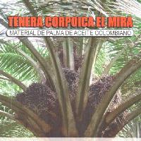 Tenera Corpoica El Mira: Material de palma de aceite Colombiano-