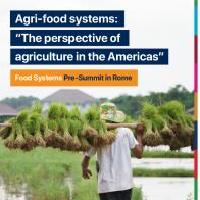 Los sistemas alimentarios: una visión desde la agricultura de las Américas