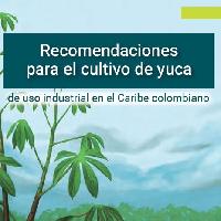Recomendaciones para el cultivo de yuca de uso industrial en el Caribe colombiano