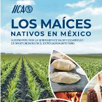 Los maíces nativos en México : alternativas para la generación de valor y desarrollo de oportunidades en el sector agroalimentario