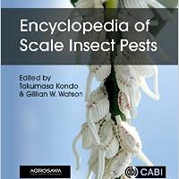 Encyclopedia of Scale Insect Pests [Enciclopedia de Insectos Escama Plagas de la Agricultura]