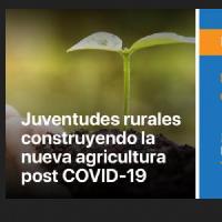 Foro Región Sur: Las juventudes rurales construyendo la nueva agricultura post COVID-19