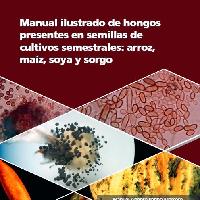 Manual ilustrado de hongos presentes en semillas de cultivos semestrales: arroz, maíz, soya y sorgo