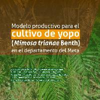 Modelo productivo para el cultivo de yopo (Mimosa trianae Benth) en el departamento del Meta