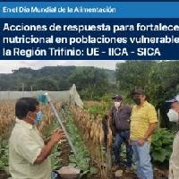 Acciones de respuesta para fortalecer la seguridad alimentaria y nutricional en poblaciones vulnerables afectadas por el COVID-19 en la región Trifinio: UE - IICA - SICA