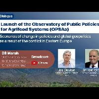 Lanzamiento del Observatorio de Políticas Públicas para los Sistemas Agroalimentarios (OPSAa)