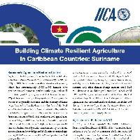 Building Climate Resilient Agriculture in AgREADY Countries: The case of Suriname