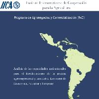 Análisis de las capacidades institucionales para el fortalecimiento de la gestión agroempresarial y asociativa. Los casos de Guatemala, Ecuador y Paraguay