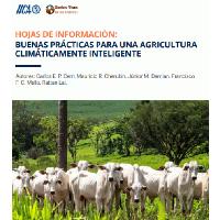 Fact sheets: best practices for a climate smart agriculture