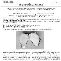 Use of endophytic insulation of Trichoderma spp., for biocontrol of panama disease (fusarium oxysporum f. sp. cubense) race i, in vitro plant