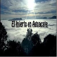 Injertos en Aguacate: Serie -PRIICA-