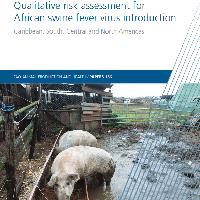 Qualitative risk assessment for African swine fever virus introduction: Caribbean, South, Central and North Americas