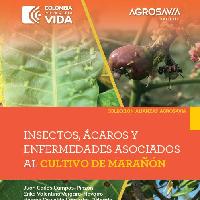 Insectos, ácaros y enfermedades asociados al cultivo de marañón