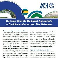 Building Climate Resilient Agriculture in Caribbean Countries: The Bahamas