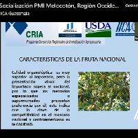 Socialización PMI Melocotón, Región Occidente / IICA-CRIA