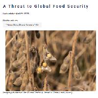 A Threat to Global Food Security