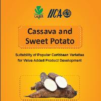 Cassava and sweet potato. Suitability of popular Caribbean varieties for value added product development