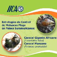 Estrategias de control de moluscos plaga en países suramericanos : Caracol Gigante Africano (Lissachatina fulica) Caracol Manzana (Pomacea canaliculta)