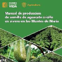Manual de producción de semilla de aguacate criollo en vivero en los Montes de María