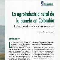 La agroindustria rural de la panela en Colombia :roles, problemática y nuevos retos. -