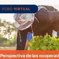 Perspectivas de las cooperativas agrícolas y su contribución al proceso de recuperación económica post pandemia