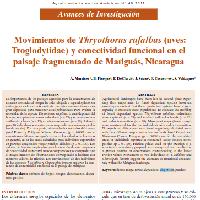 Movimientos de Thryothorus rufalbus (aves: Troglodytidae) y conectividad funcional en el paisaje fragmentado de Matiguás, Nicaragua