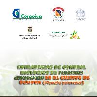 Estrategias de control biológico de Fusarium Oxysporum en el cultivo de la Uchuva (Physalis peruviana)-