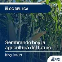 Blog IICA