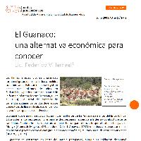 El Guanaco: una alternativa económica para conocer
