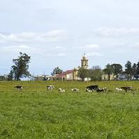 Agricultura familiar en Paraguay