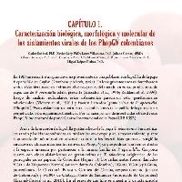 Caracterización biológica , morfológica y molecular del los aislamiento virales de los PhopGv colombianos