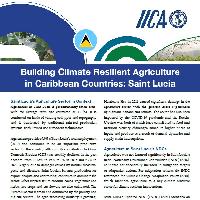 Building Climate Resilient Agriculture in Caribbean Countries: Saint Lucia