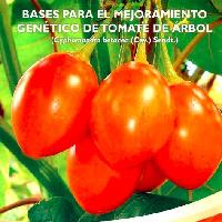 Bases para el mejoramiento genético del tomate de árbol (cyphomandra batecea (Cav) Sendt.)-