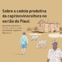 Sobre a cadeia produtiva da caprinovinocultura no sertão do Piauí : um estudo centrado no Território da Chapada do Vale do Itaim (região de Paulistana)