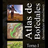Atlas de Bofedales (humedales altoandinos). Municipios de San Pablo de Lípez y San Antonio de Esmoruco