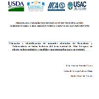 Ubicación e identificación de animales afectados en Brucelosis y Tuberculosis en hatos lecheros del área central de Alta Verapaz, su efecto socioeconómico y medidas cuarentenarias para su control